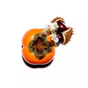 Kem siết da và làm săn chắc da Clarins NUTRI LUMIÈRE revive crème jour