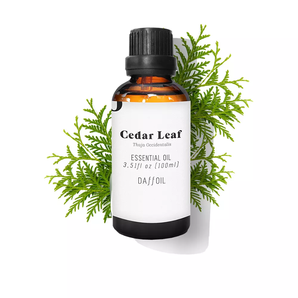 Daffoil CEDAR LEAF essential oil 2 CEDAR LEAF essential oil Hương trị liệu chính hãng Daffoil