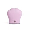 Idc Institute SKIN cleansing brush 3 Bàn chải làm sạch khuôn mặt Idc Institute SKIN cleansing brush