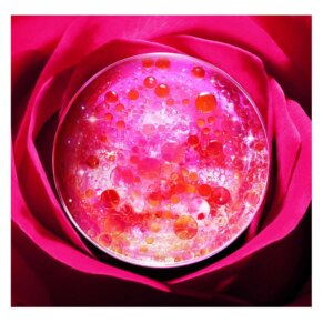 Kem dưỡng ẩm Lancôme ABSOLUE crème fondante recharge