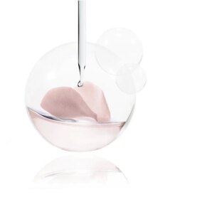 L'Oréal París FLORES DELICADAS toallitas desmaquilladoras Tẩy trang