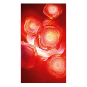 Kem dưỡng da & làm săn chắc da L'Oréal París REVITALIFT crema roja energizante día con ginseng roj...