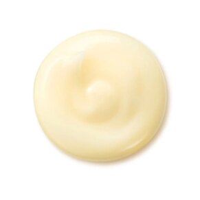 Shiseido BENEFIANCE WRINKLE SMOOTHING cream 6 Shiseido BENEFIANCE WRINKLE SMOOTHING cream Kem chống lão hóa & điều trị chống nhăn