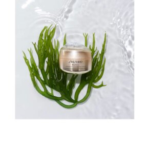Shiseido BENEFIANCE WRINKLE SMOOTHING eye cream 7 Quầng thâm, túi mắt và kem dưới mắt Shiseido BENEFIANCE WRINKLE SMOOTHING eye cream